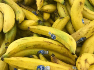 Bananes Plantains – 1lb