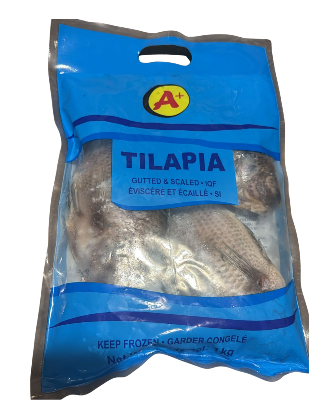Tilapia frais